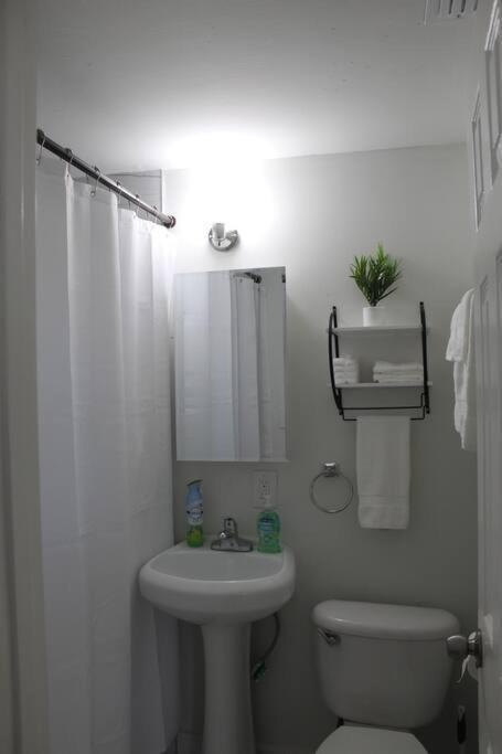 ☆The Oasis In Murray Hill☆ -Sleeps 8- Wifi- Cozy ジャクソンビル エクステリア 写真